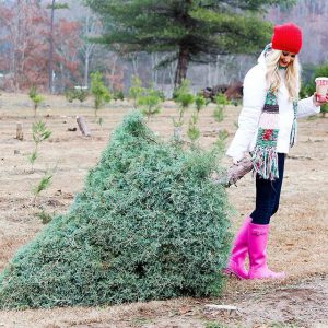 CHRISTMAS TREE FARM STYLE