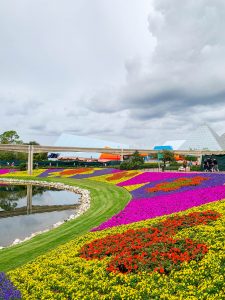 Walt Disney World: Adult Experiences at Disney | love 'n' labels www.lovenlabels.com
